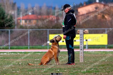 L_IMG_0160.jpg
