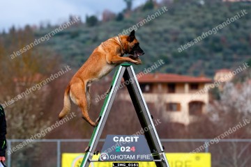 L_IMG_0161.jpg