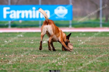 L_IMG_0162.jpg