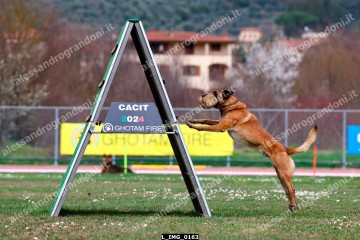 L_IMG_0163.jpg