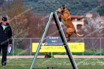 L_IMG_0164.jpg