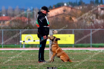 L_IMG_0165.jpg