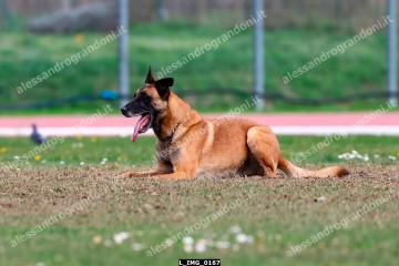 L_IMG_0167.jpg