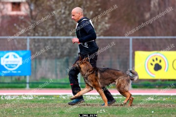 L_IMG_0174.jpg