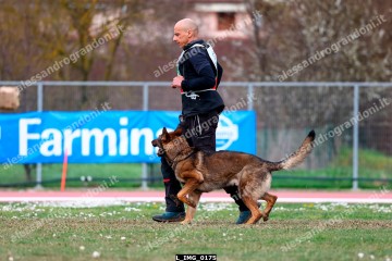 L_IMG_0175.jpg