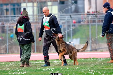 L_IMG_0177.jpg