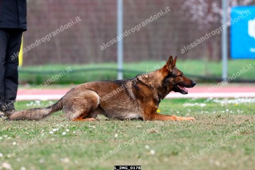 L_IMG_0178.jpg