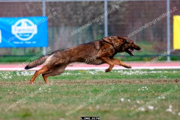 L_IMG_0179.jpg