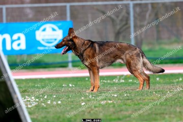 L_IMG_0181.jpg