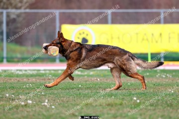 L_IMG_0183.jpg