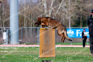 L_IMG_0186.jpg