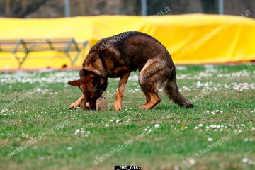 L_IMG_0187.jpg