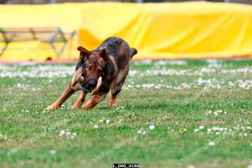 L_IMG_0188.jpg