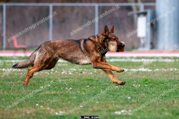 L_IMG_0189.jpg