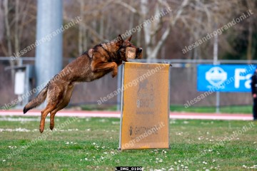 L_IMG_0190.jpg