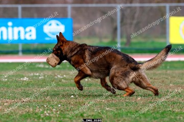 L_IMG_0195.jpg