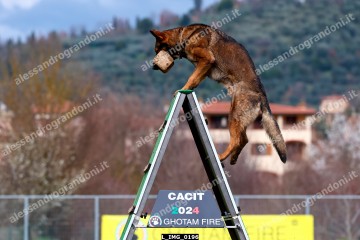 L_IMG_0196.jpg
