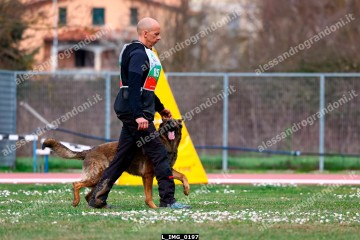 L_IMG_0197.jpg