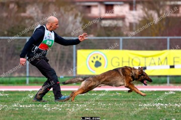 L_IMG_0198.jpg