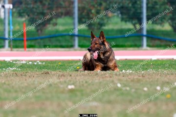 L_IMG_0199.jpg