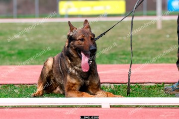L_IMG_0200.jpg
