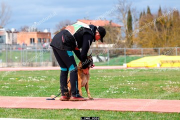L_IMG_0201.jpg