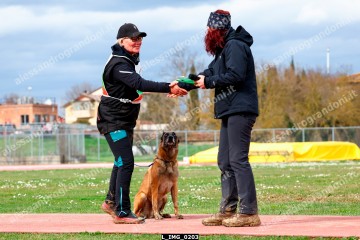 L_IMG_0203.jpg
