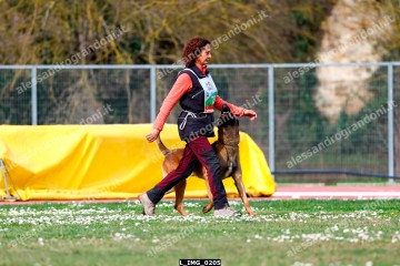 L_IMG_0205.jpg