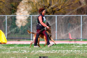 L_IMG_0206.jpg