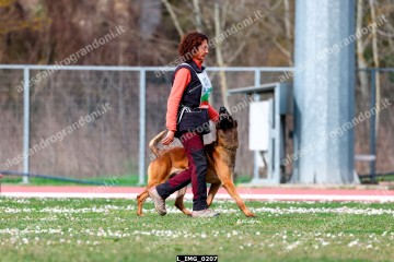 L_IMG_0207.jpg