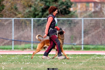L_IMG_0208.jpg