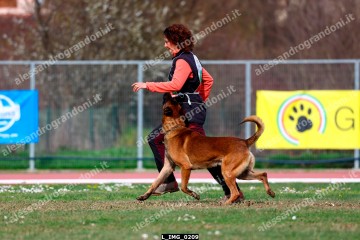 L_IMG_0209.jpg