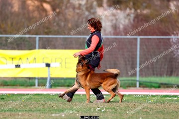 L_IMG_0210.jpg