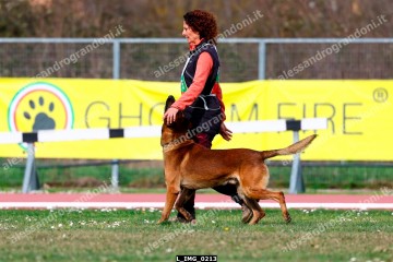 L_IMG_0213.jpg