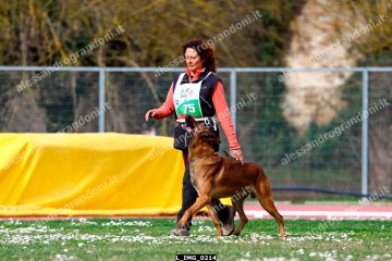 L_IMG_0214.jpg