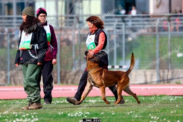 L_IMG_0215.jpg
