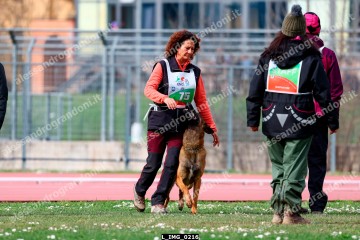 L_IMG_0216.jpg
