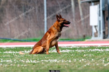 L_IMG_0217.jpg