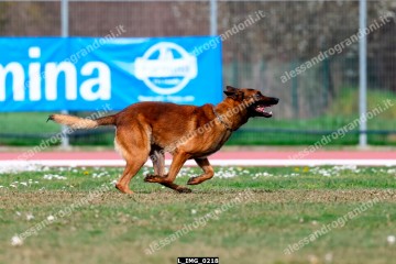 L_IMG_0218.jpg