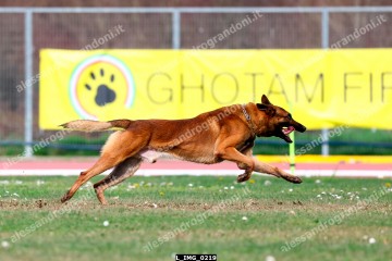 L_IMG_0219.jpg