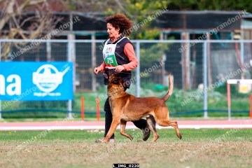 L_IMG_0220.jpg