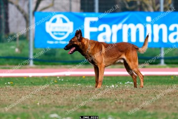 L_IMG_0221.jpg