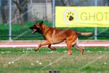 L_IMG_0222.jpg