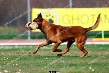 L_IMG_0225.jpg