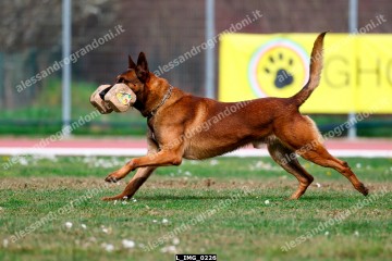 L_IMG_0226.jpg
