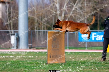 L_IMG_0228.jpg