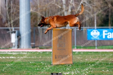 L_IMG_0229.jpg