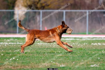 L_IMG_0230.jpg