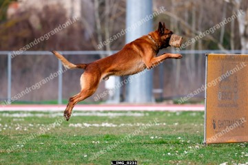 L_IMG_0231.jpg