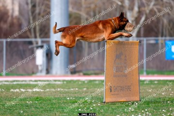 L_IMG_0232.jpg